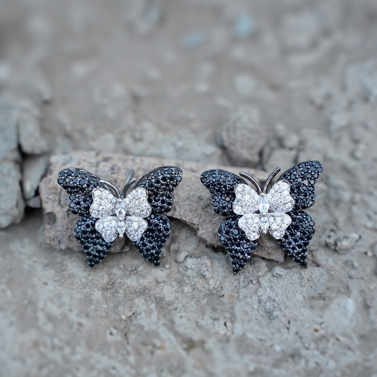 Butterfly love's - Rich Black