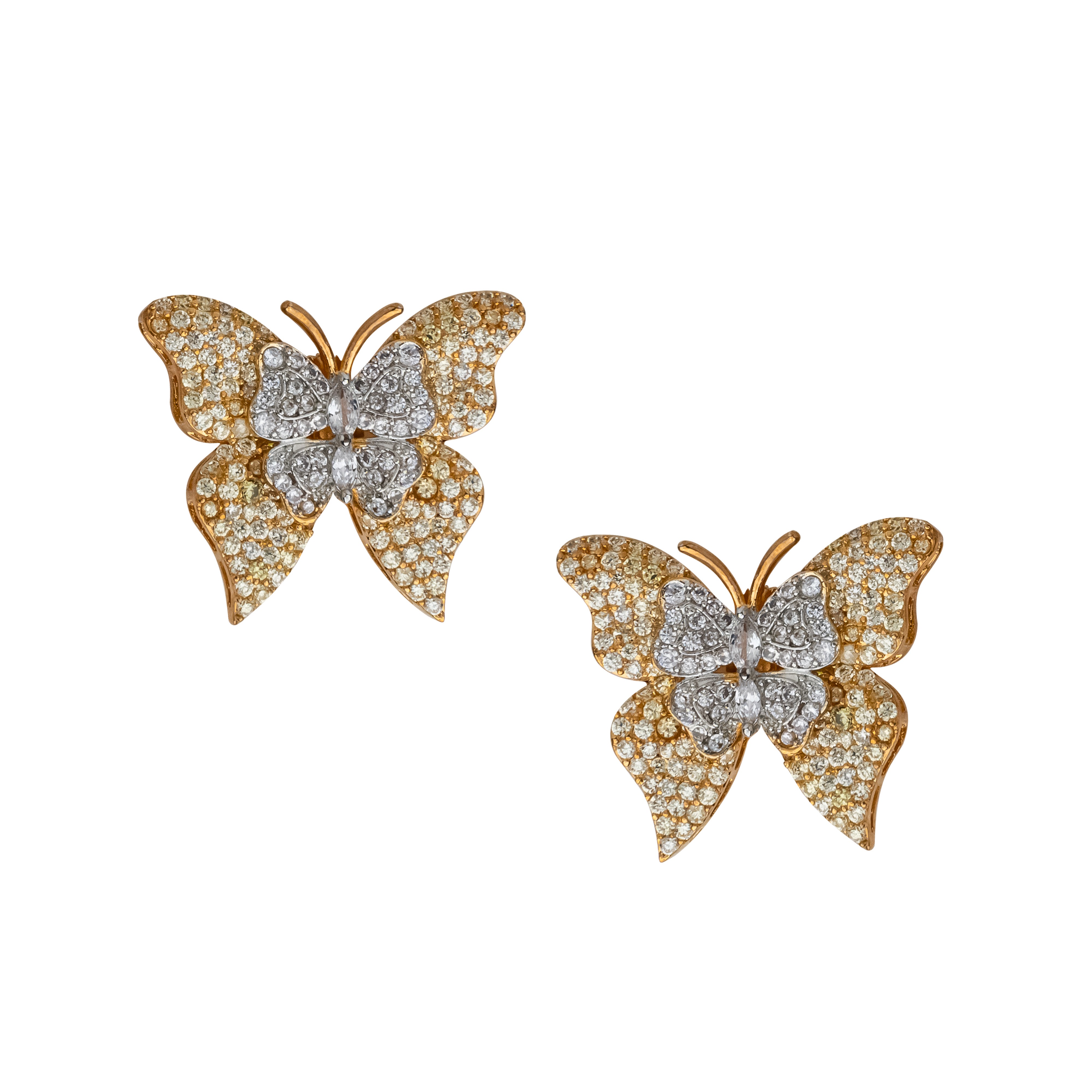 Butterfly love's - Orange Yellow